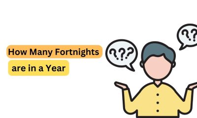 How Many Fortnights are in a Year